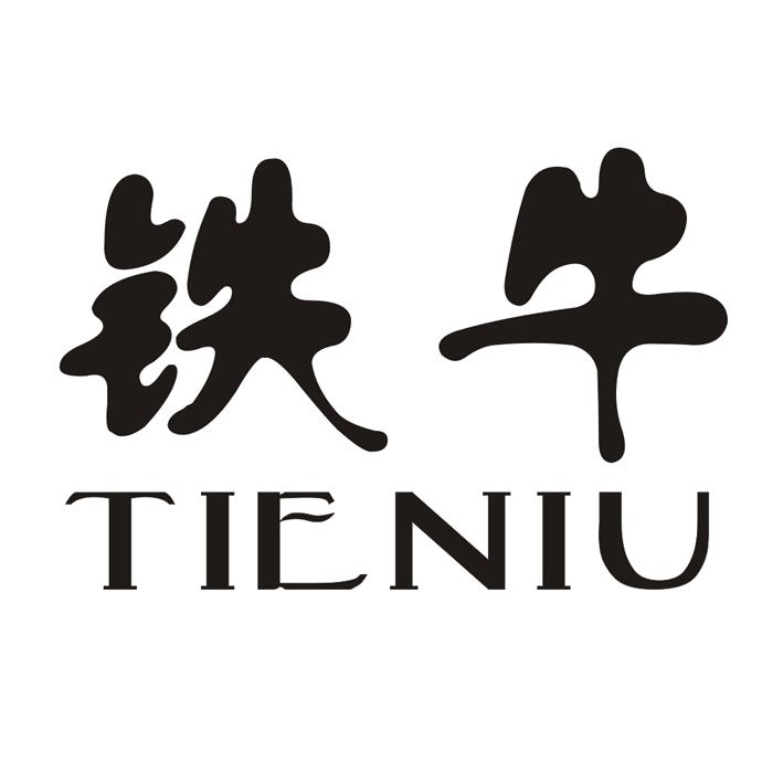 铁牛tieniuironcattle