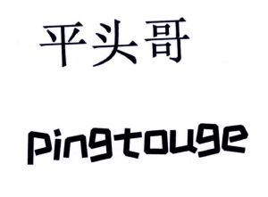 平头哥_注册商标查询信息 - 商标分类信息 - 天眼查