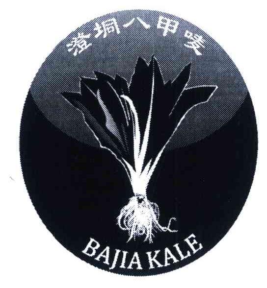 阳春市八甲镇澄垌八甲唛绿色工程有限公司