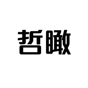 合肥宸翊商贸有限公司商标哲瞰（41类）商标买卖平台报价，上哪个平台最省钱？