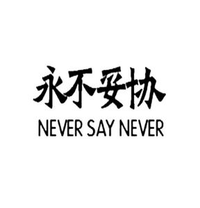 永不妥协neversaynever