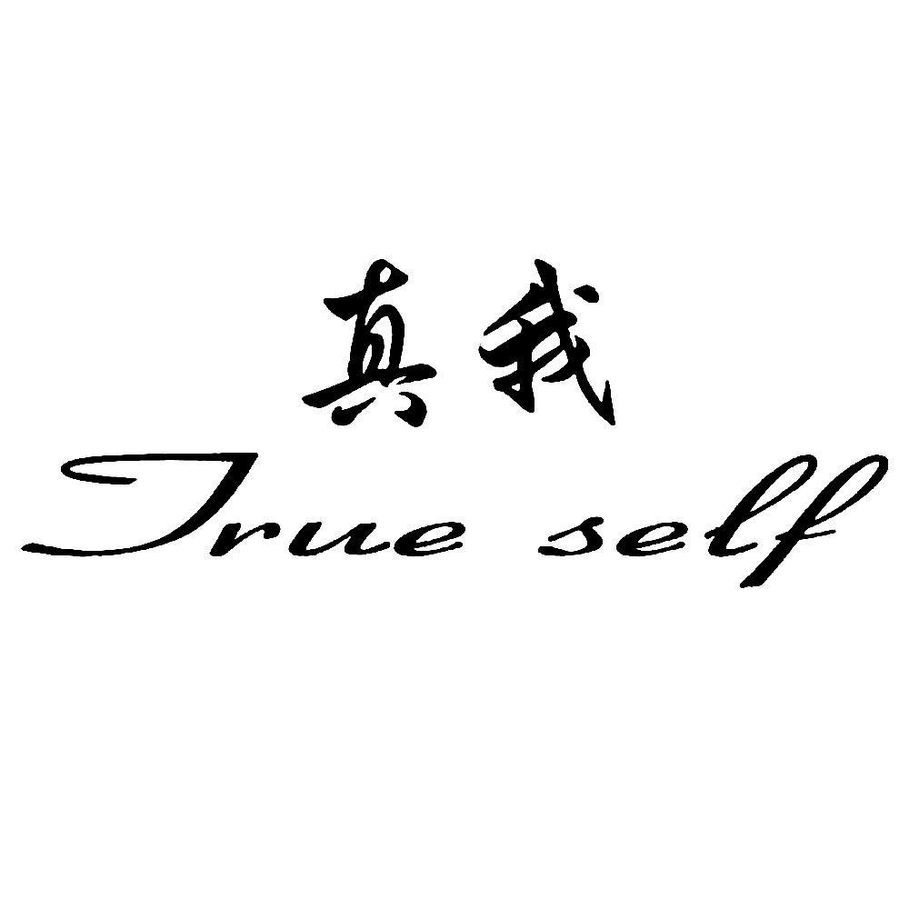真我_注册号23851291_商标注册查询 - 天眼查