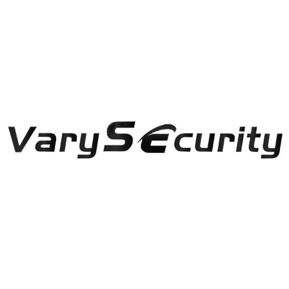 varysecurity_注册号41982635_商标注册查询 - 天眼查