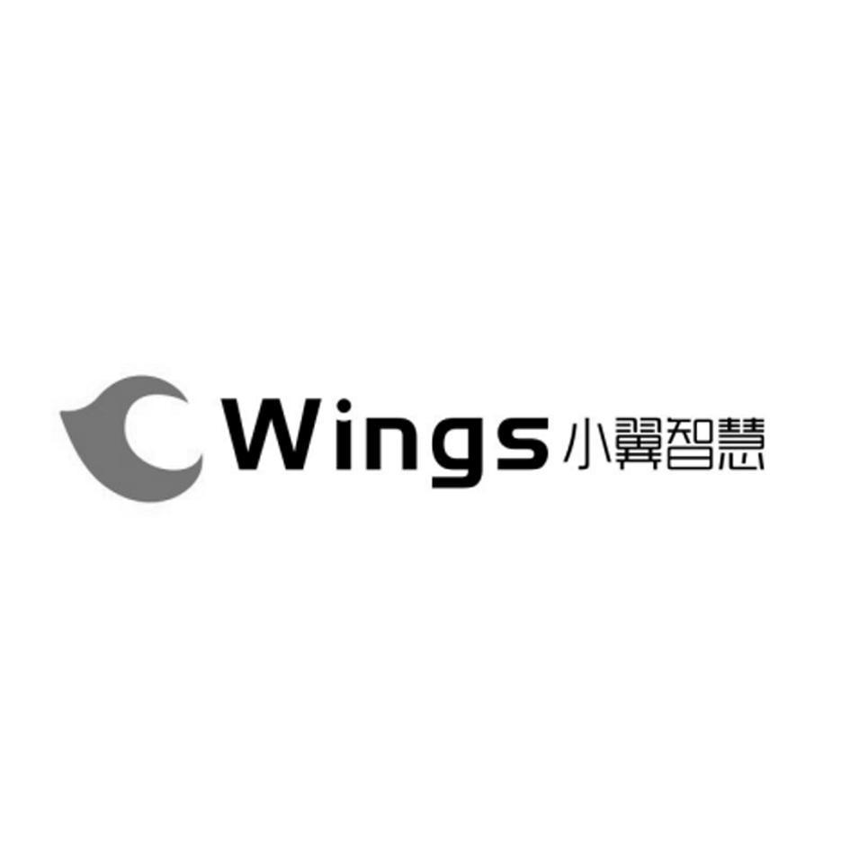 小翼智慧;wings