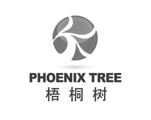 福建省梧桐树投资管理有限公司