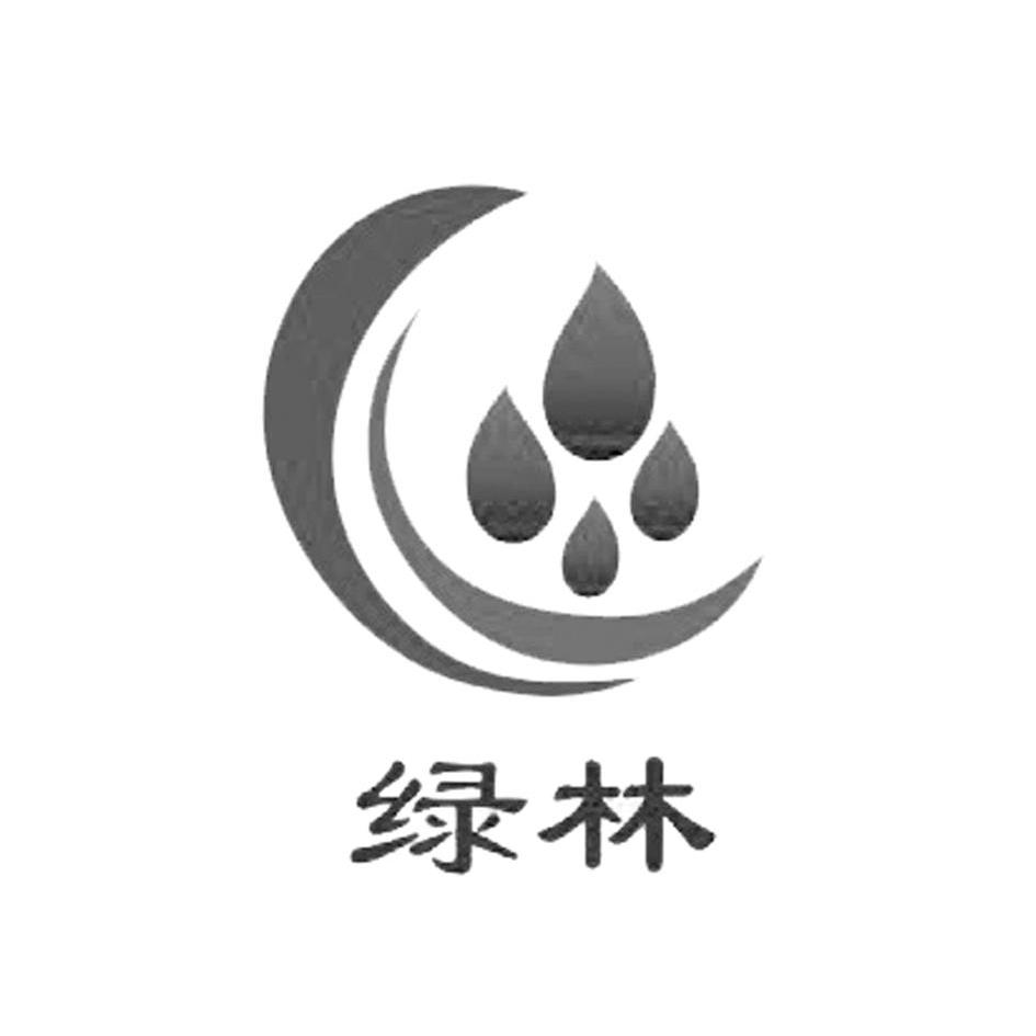 绿林_注册号4553833_商标注册查询 - 天眼查