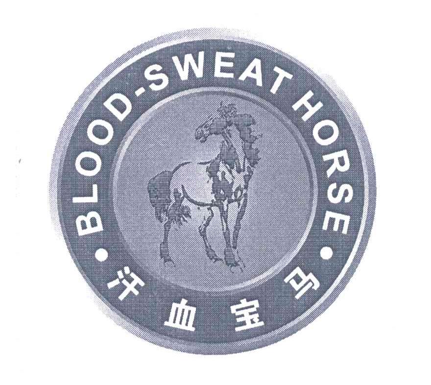 汗血宝马;blood-sweat horse