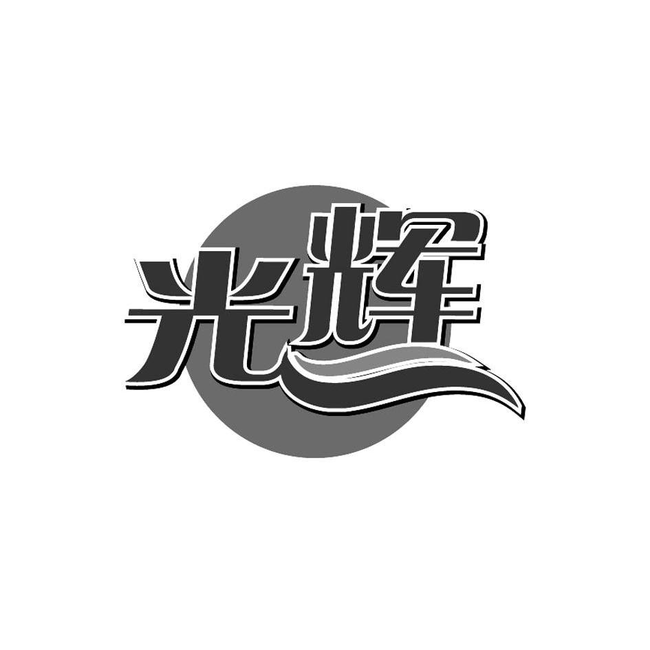临沂光辉磨料磨具有限公司_2018年企业商标大全_商标信息查询-天眼查