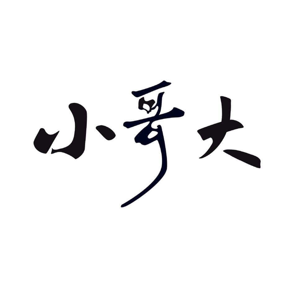 广州市荔湾区小哥大童装行