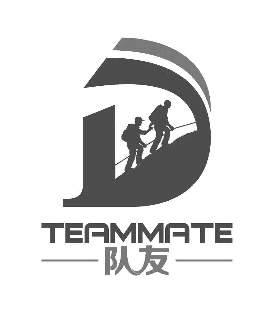 队友teammated