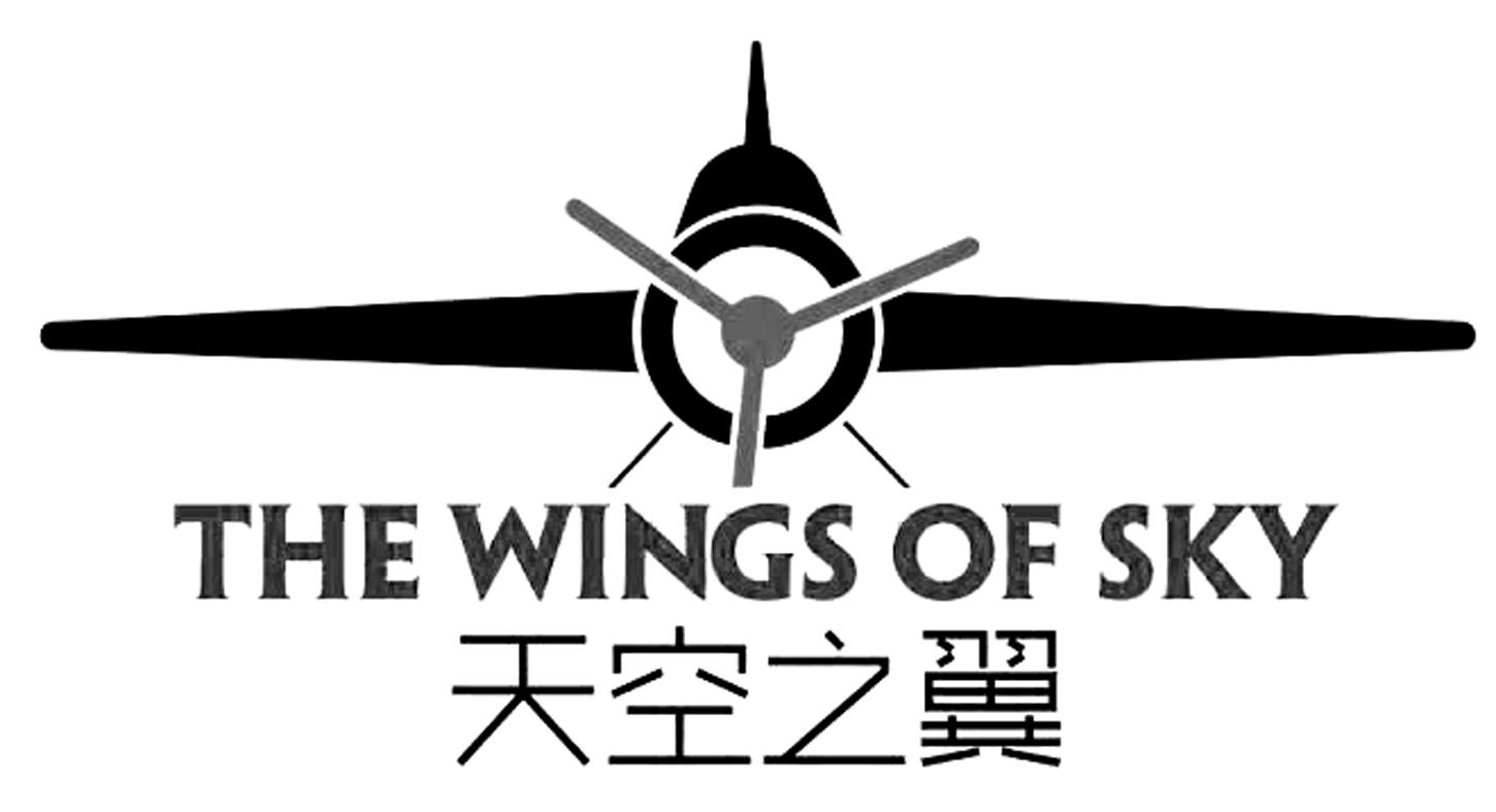 天空之翼