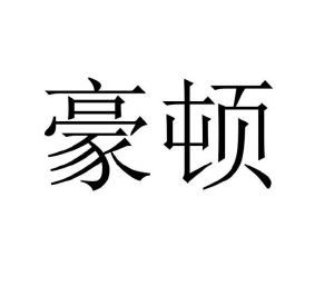 朱立宪商标豪顿（10类）商标转让多少钱？