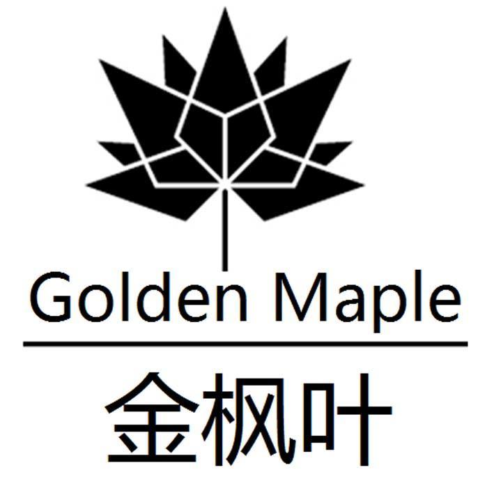 金枫叶goldenmaple