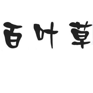 百叶草