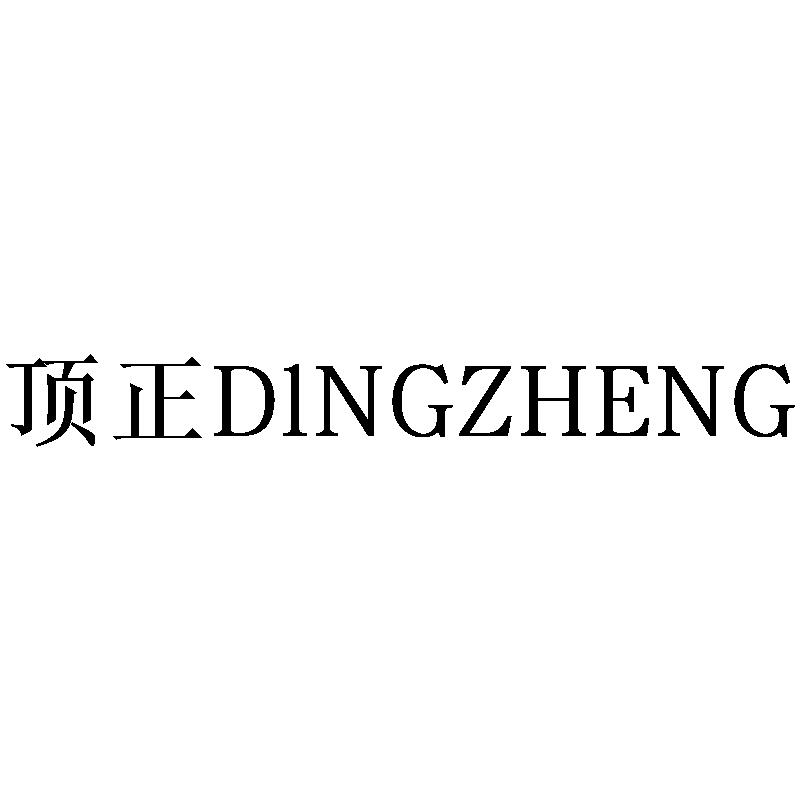 顶正 D1NGZHENG