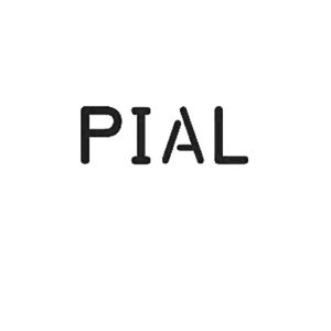 pial_注册号54421934_商标注册查询 - 天眼查