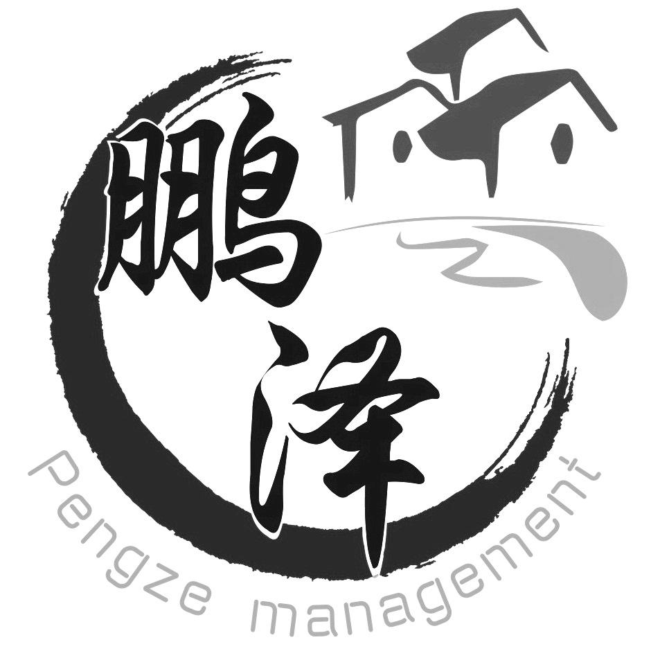 鹏泽pengze management