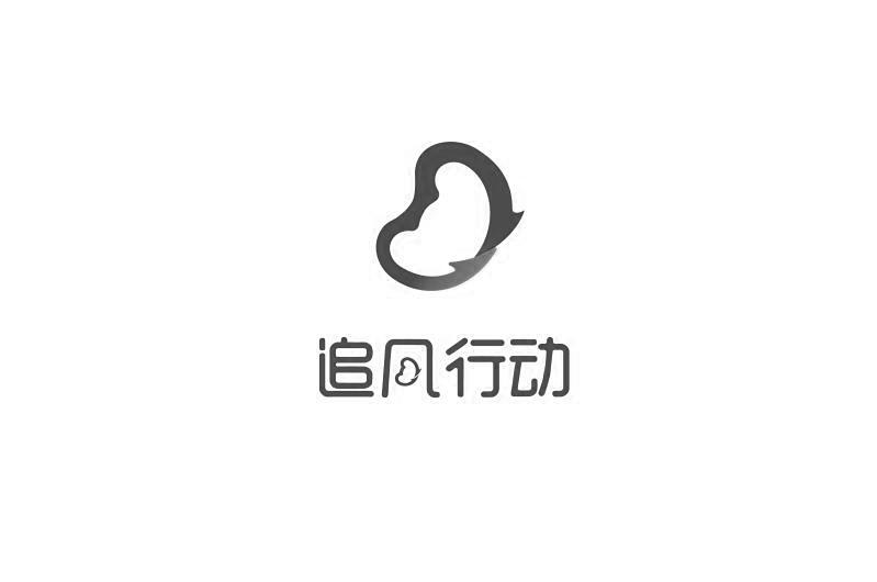 追风行动