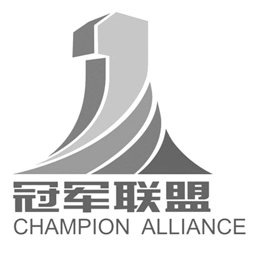 冠军联盟 champion alliance