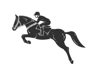 深圳维多丽亚国际马术俱乐部有限公司