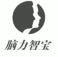 脑力智宝