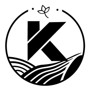 k字母logo设计欣赏图片