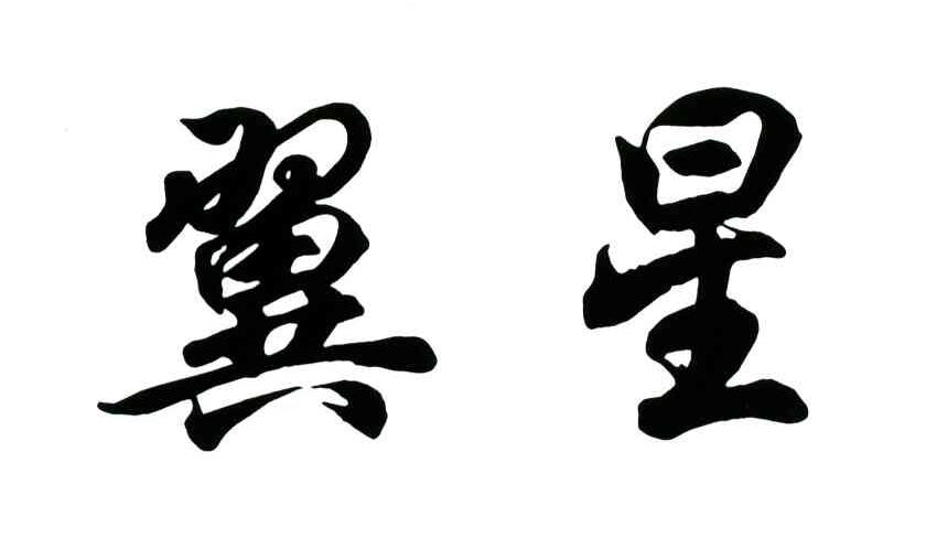 江苏翼星投资发展有限公司