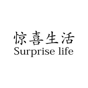 惊喜生活;surprise life