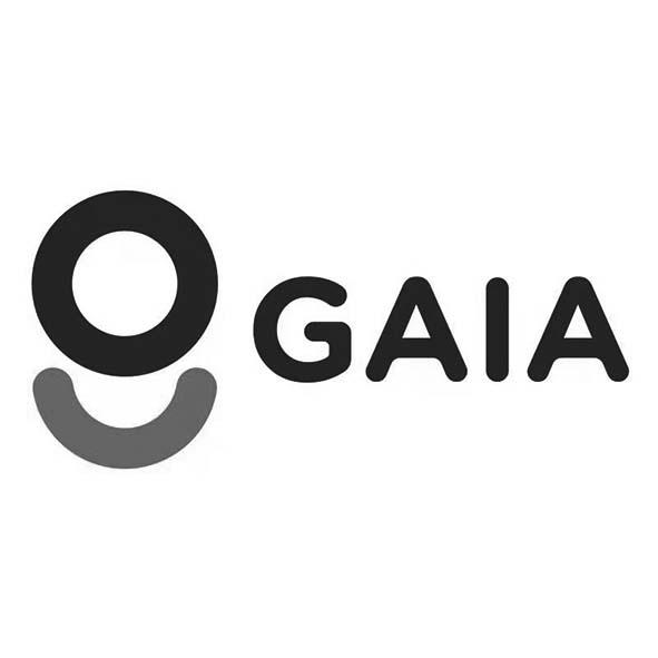 gaia_注册号6208610_商标注册查询 - 天眼查
