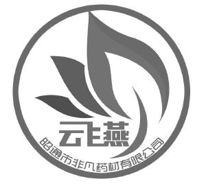 雲飛燕昭通市非凡藥材有限公司