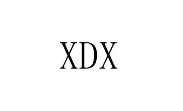 XDX