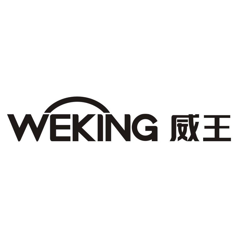 威王logo图片
