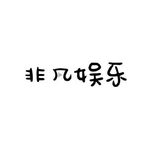 深圳市非凡视觉科技有限公司
