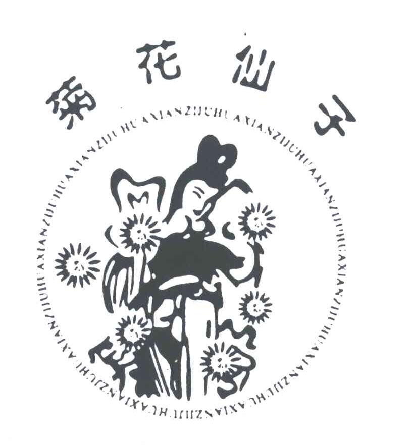 桐乡菊花仙子图片