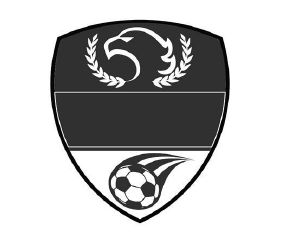 上海上港集团足球俱乐部有限公司