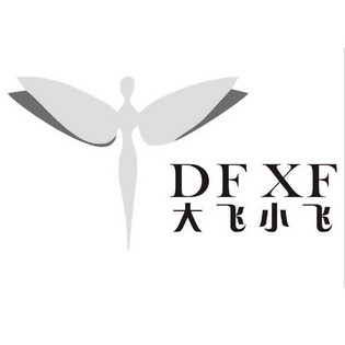 大飞小飞 dfxf