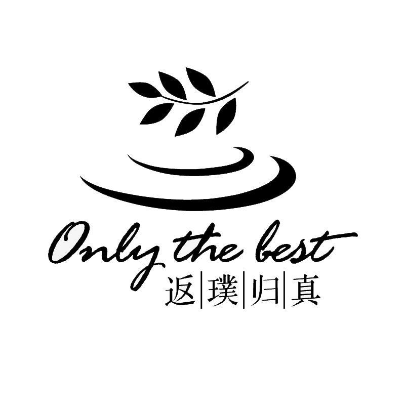 返璞归真 only the lest