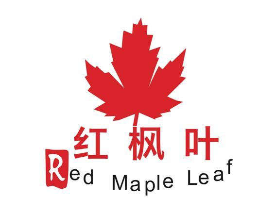 红枫叶