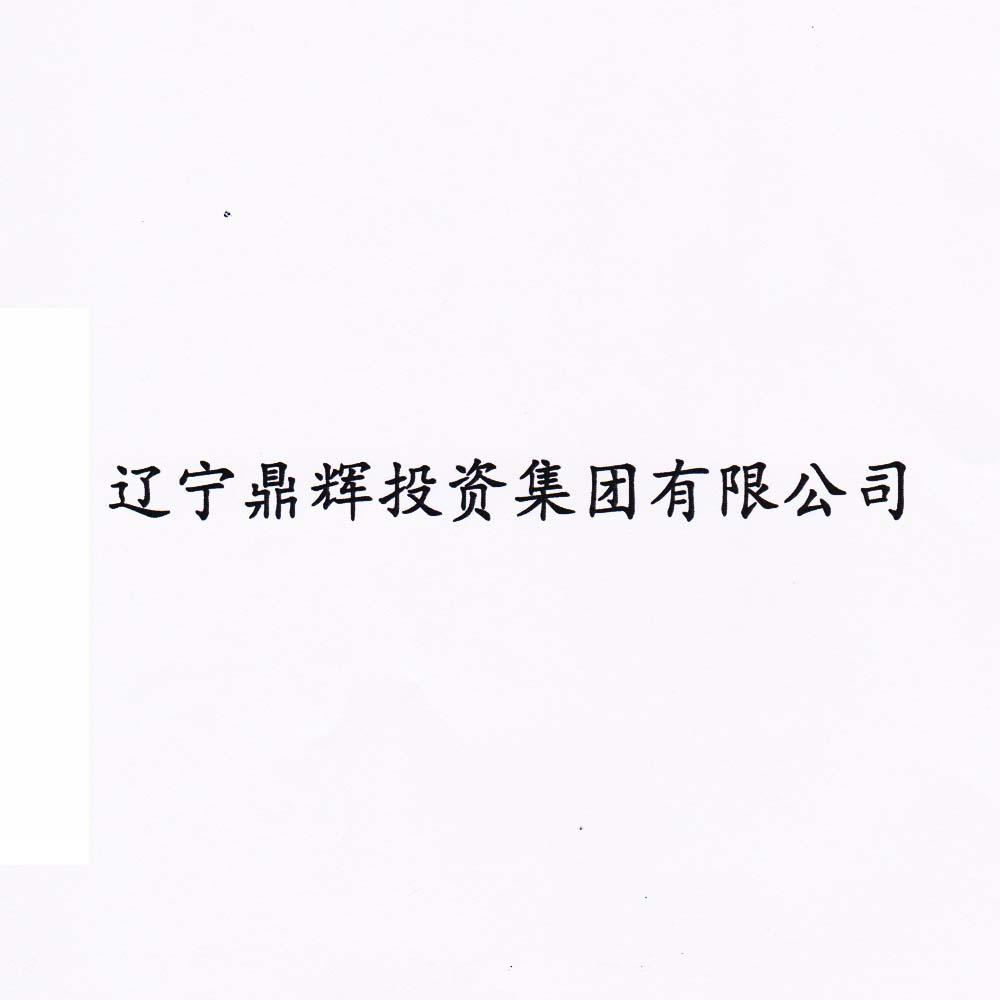 辽宁鼎辉投资集团有限公司