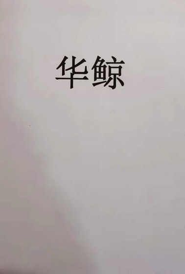 华鲸