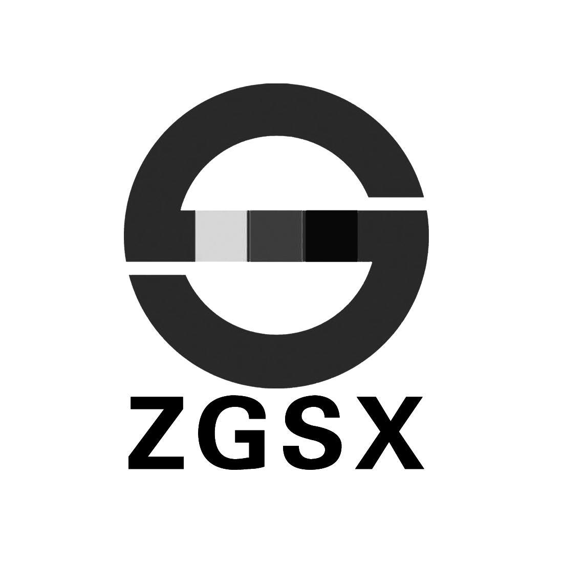 S ZGSX