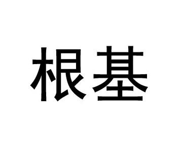 根基