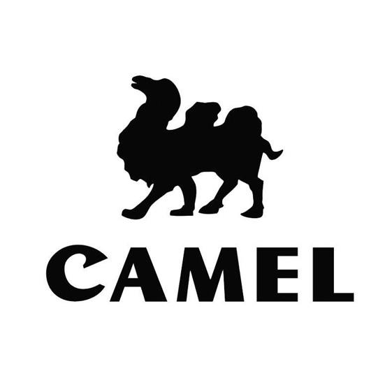 camel