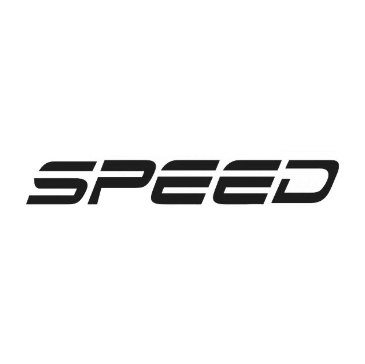 speed_注册号32019538_商标注册查询 - 天眼查