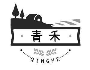 青禾_注册号48110726_商标注册查询 - 天眼查