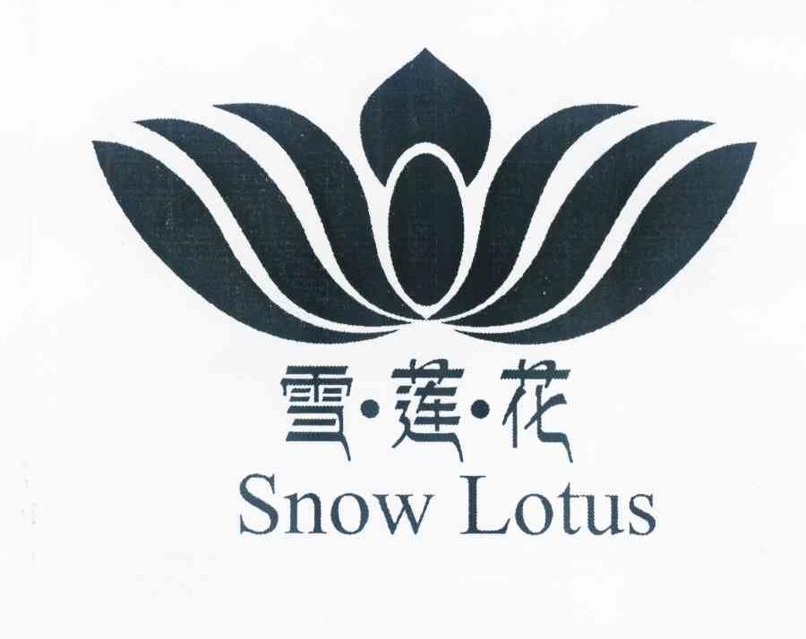 雪莲花 snow lotus