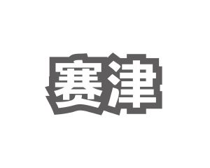 长沙旺斯图商贸有限公司商标赛津（09类）多少钱？