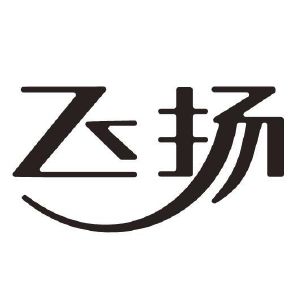 飞扬二字图片图片