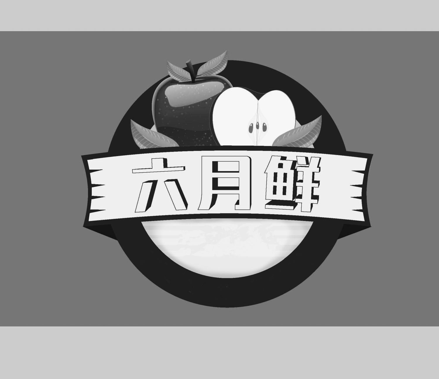 2237445935-广告销售其他详情同名/同音商标六六月鲜其他16-办公用品