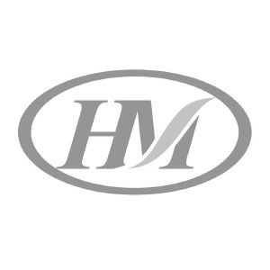 hm的logo设计来源图片